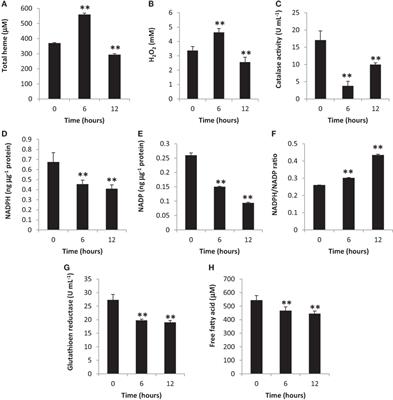 Gingival Periodontal Disease (PD) Level-Butyric Acid Affects the Systemic Blood and Brain Organ: Insights Into the Systemic Inflammation of Periodontal Disease